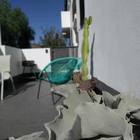 Piedranegra, Apartamento Completo Con Patio, Terraza Y Bbq Rodalquilar Eksteriør billede